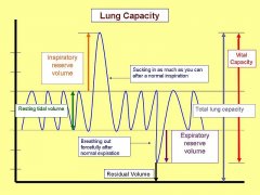 Vital capacity and the difference Between FVC & VC