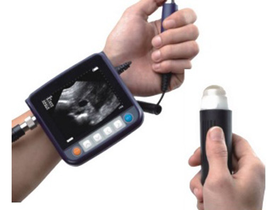Meditech is one of the Veterinary Ultrasound Scanners Market