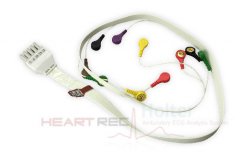 ECG Holter Cable of HeartRec Eco
